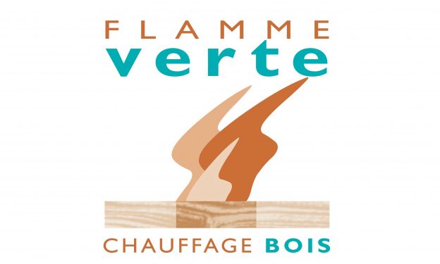 Petit Logo Flamme Verte