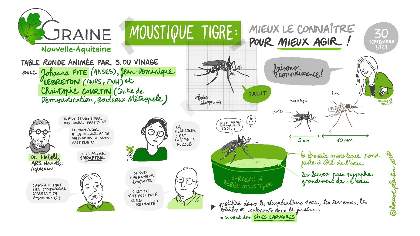 Synthèse graphique réalisée en direct par Louise Plantin, illustratrice et facilitatrice graphique @ Graine Nouvelle-Aquitaine