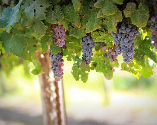 C'est un point de départ-une dynamique portée par les élus du territoire © Pixabay