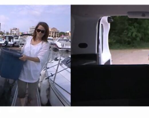 C'est vraiment un réseau complet qui part d'un constat pour résoudre le problème à la source©SIBA