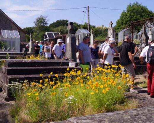 le CPIE des pays creusois propose pour la troisième année des visites in-situ pour partager les expériences : « un rallye des cimetières » @ CPIE Pays Creusois