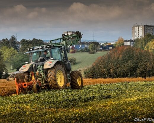 De 2014 à 2016, nous avons reçu une soixantaine de signalements © GilbertM Photographies