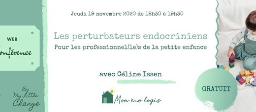 Des webinaires gratuits © My Little Change