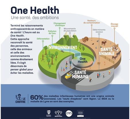 À travers des exemples concrets (le paludisme, la vaccination, le choléra, l’antibiorésistance, etc.) cette exposition explore le concept One health @ Maxime Sorin