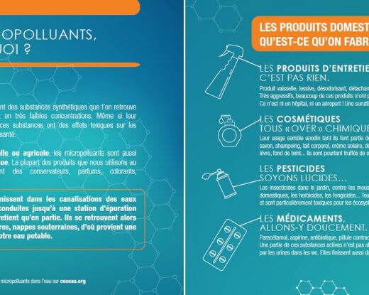 Extrait de la brochure Des intrus à la maison © CESEAU