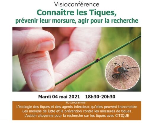 La visioconférence a réuni une cinquantaine de participants © CPIE Béarn
