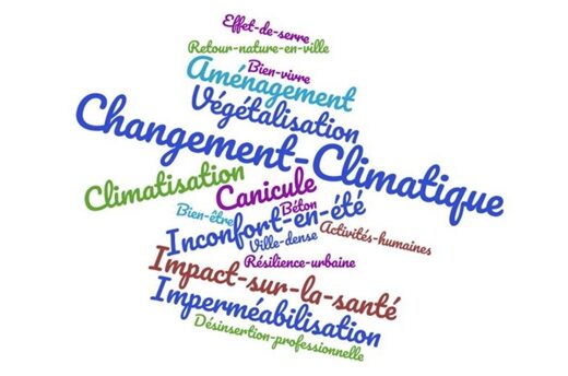 Nuage de mots pour évoquer le phénomène © CEREMA