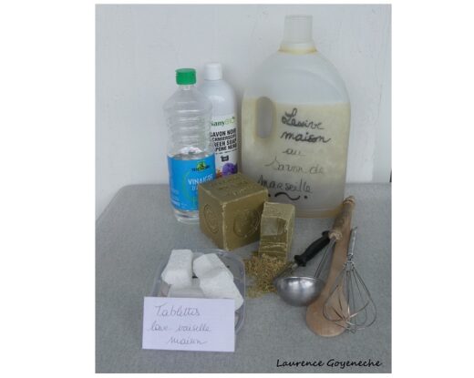 Objectif apprendre à fabriquer quatre sortes de produits d’entretien © CPIE PB