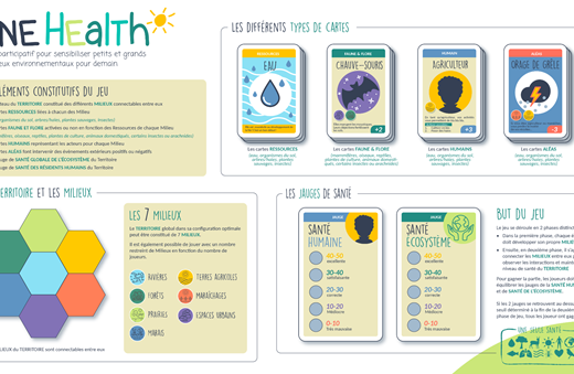 Le jeu de plateau One health est en cours de création, objectif de sortie : printemps 2024 © Laurent Meunier/ZYG design