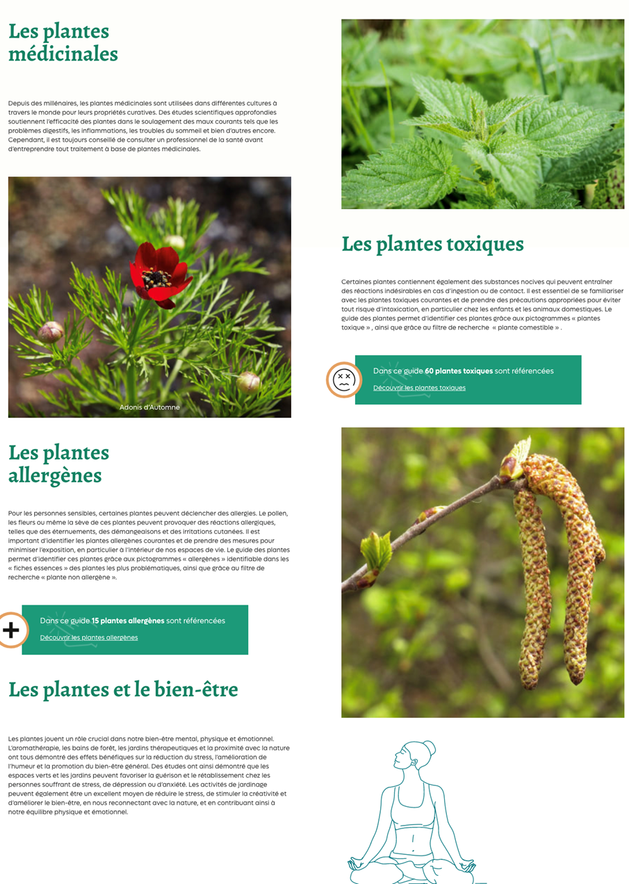 Que planter dans son jardin du Médoc ? @ PNR Médoc