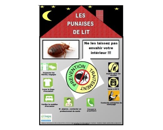 Un outil d'information a été crée à l'issue de l'enquête © IFSI