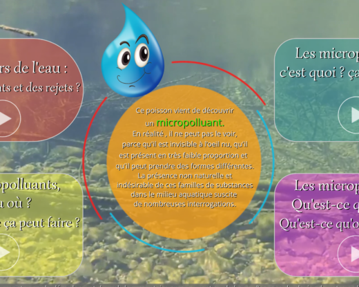 « Le sens de l’eau : le parcours des micropolluants » est consultable sur internet @ E.BICOM