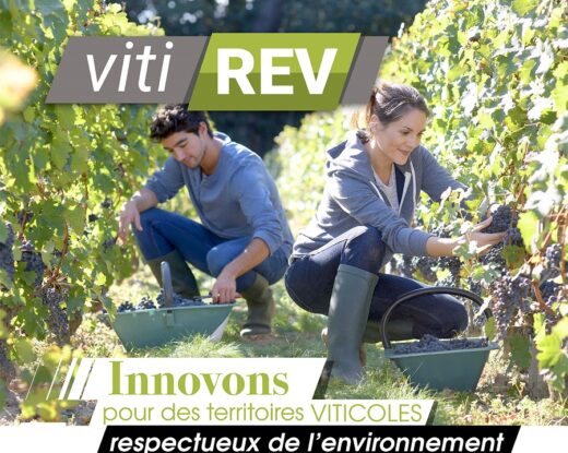 VitiREV veut accélérer la transformation de la viticulture en Nouvelle-Aquitaine © RNA