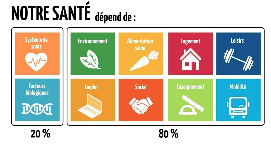 -	La santé dépend à 80 % de l’environnement et du mode de vie et à 20 % de la génétique et du système de soins 