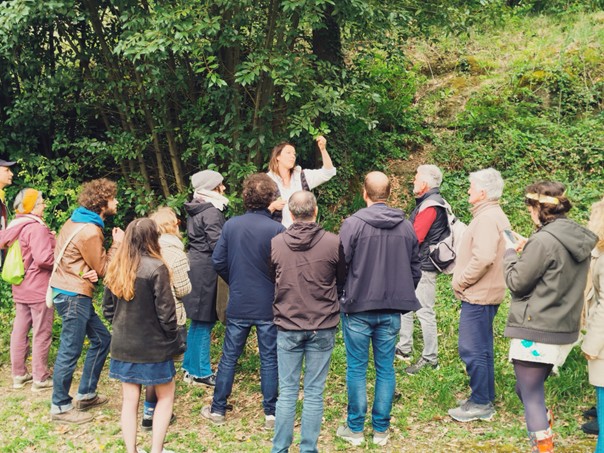 Des rendez-vous pour arpenter la nature et reconnaître les plantes comestibles ? Le format a le vent en poupe et affiche souvent complet avec Olivia Faidherbe