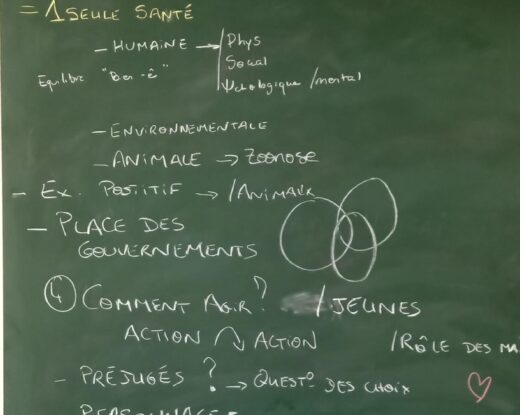 Comment sensibiliser les jeunes à une vision globale de la santé environnementale ?