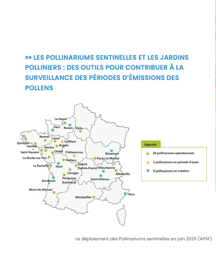 Cette synthèse rappelle les enjeux liés à ce phénomène et les leviers d’actions des villes