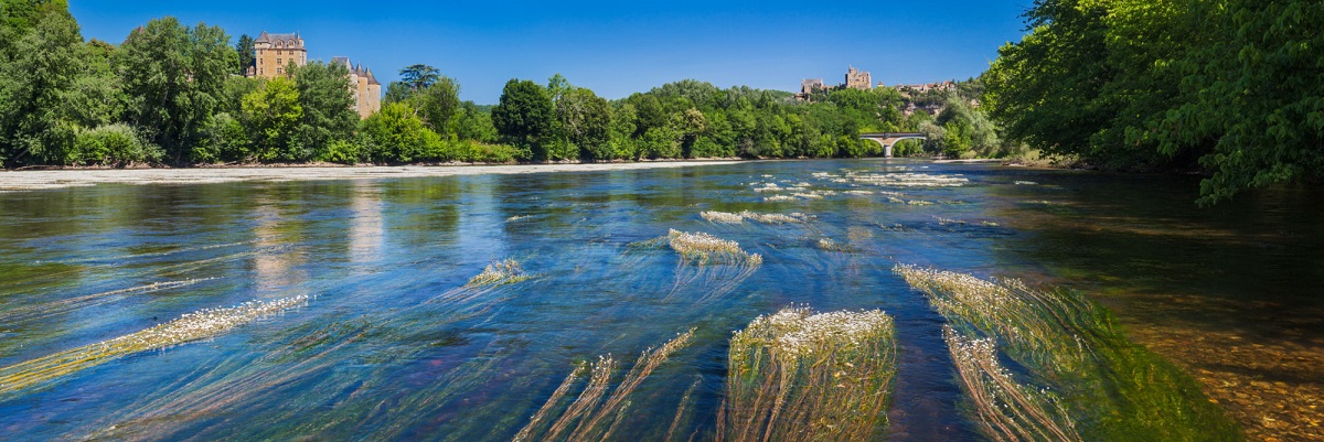 Herbiers à renoncules sur la Dordogne a Vézac avec les châteaux de Fayrac et de Beynac sur les coteaux ©Hervé Sentucq