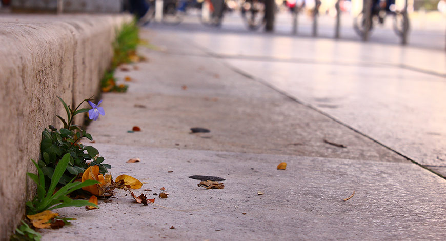Il va falloir faire accepter le retour « des herbes folles » sur les trottoirs © Bordeaux Métropole
