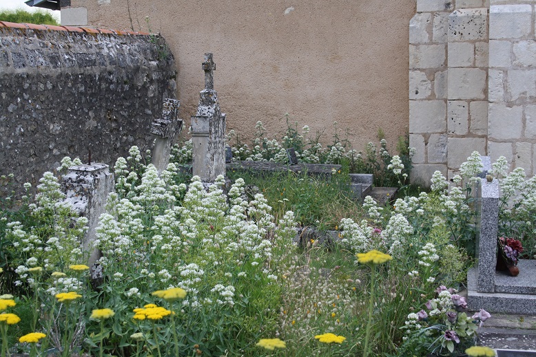 C'est en partie grâce à cette communication que les changements de pratiques ont été bien acceptés © FREDON P-Ch