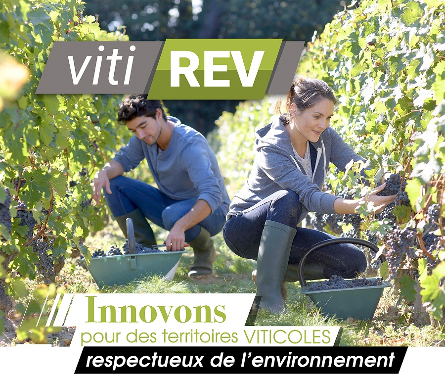 VitiREV veut accélérer la transformation de la viticulture en Nouvelle-Aquitaine © RNA