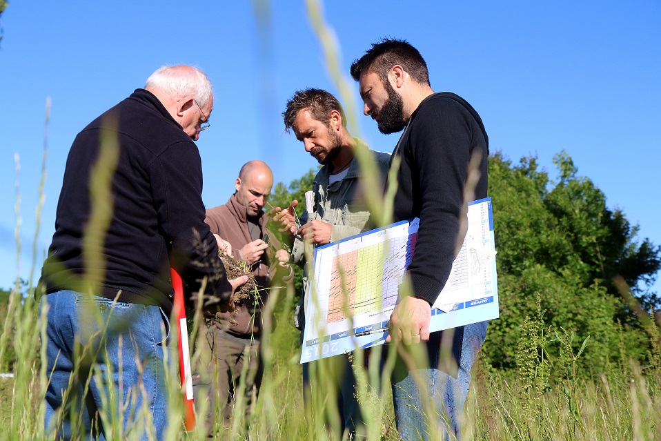 Collecte des espèces allergisantes en milieu naturel à La Rochelle @ Julien Chauvet