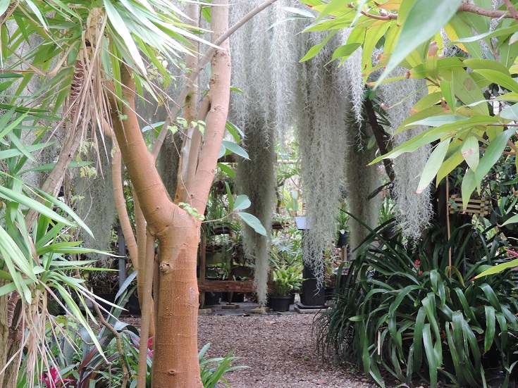 Devant la serre tropicale, nous serons présents pendant la saison © Ecosite du Bourgailh