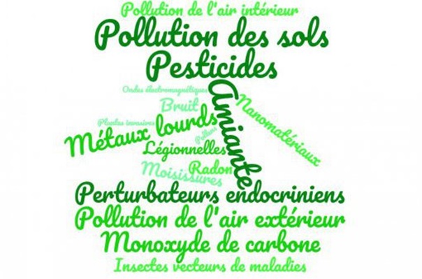 Nuage de mots sur la perception des 17 agents environnementaux © ARS NA