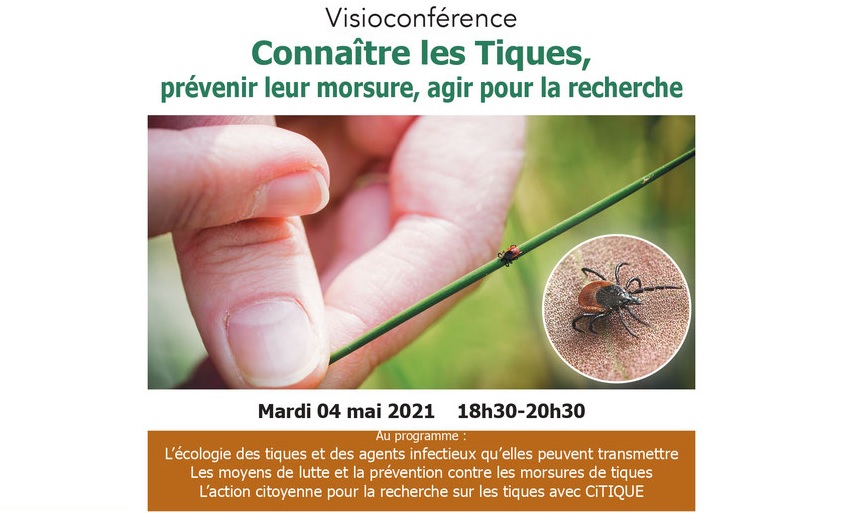 La visioconférence a réuni une cinquantaine de participants © CPIE Béarn