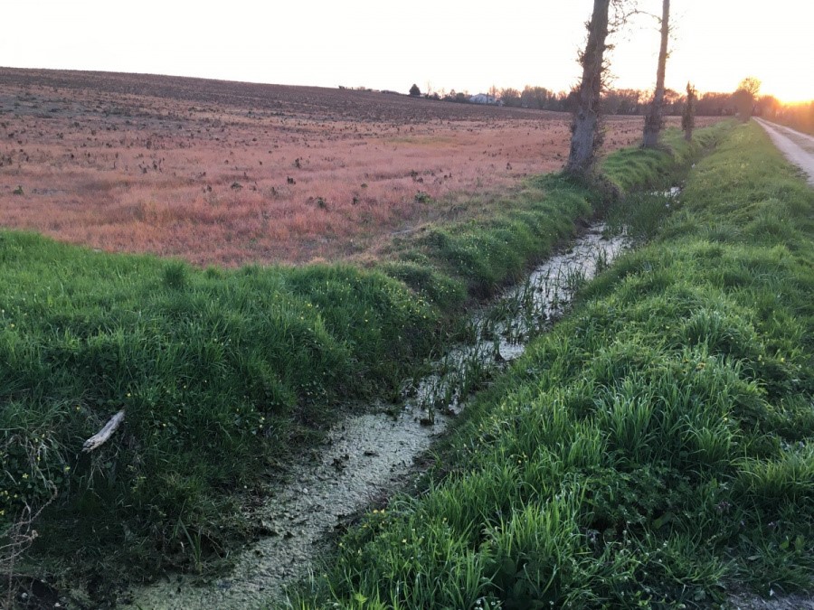 Des dizaines de captages sont menacés par les pollutions d’origine agricole