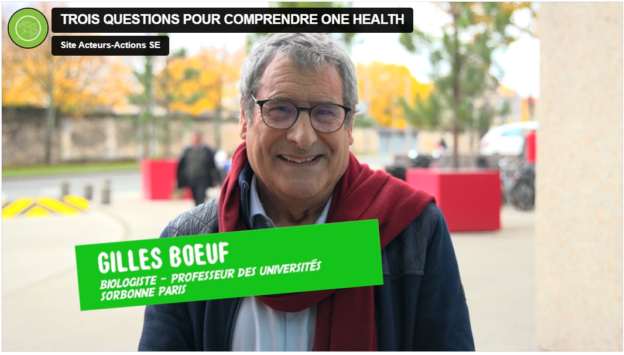 Gilles_Boeuf_TROIS_QUESTIONS_POUR_COMPRENDRE@GraineNouvelleAquitaine
