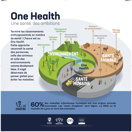 À travers des exemples concrets (le paludisme, la vaccination, le choléra, l’antibiorésistance, etc.) cette exposition explore le concept One health @ Maxime Sorin